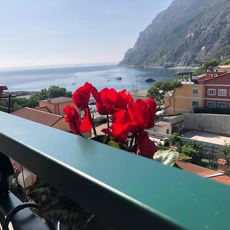 Il Sogno Di Contardi A Affittacamere Monterosso al Mare Exterior foto